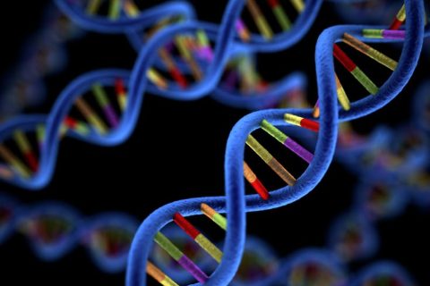 A close-up, 3D illustration of a DNA double helix with colorful base pairs on a dark background.