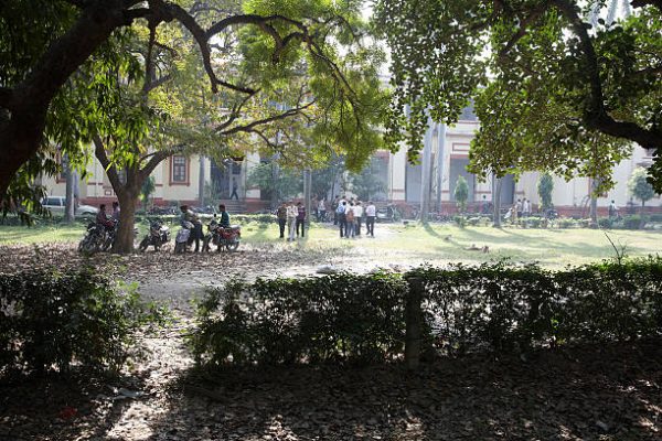 Students gathered in a shaded area of a college campus surrounded by trees.